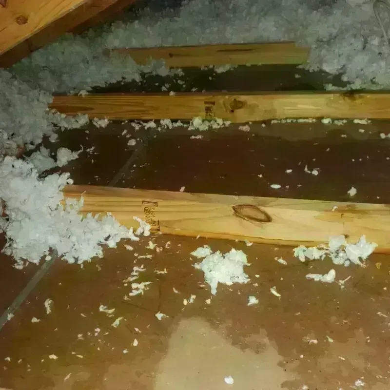 Attic Water Damage in Grifton, NC