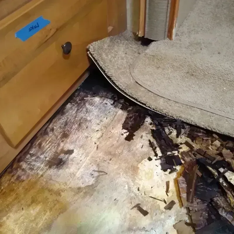 Best Wood Floor Water Damage Service in Grifton, NC